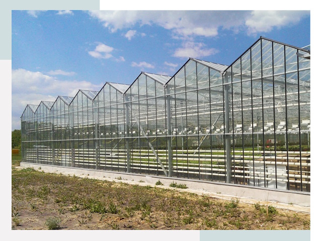 Строительство теплиц в Альметьевск от 623 руб. за м²