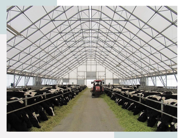 Тентовые коровники в Альметьевске от 623 руб. - Надежно и доступно